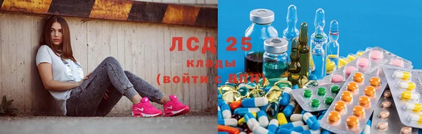 хмурый Нефтекумск