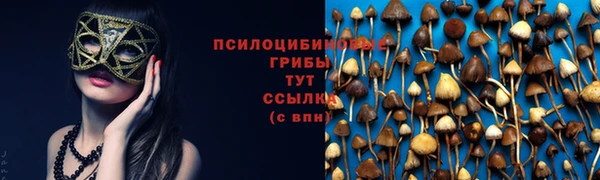 2c-b Нефтегорск