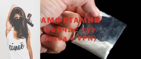 ГАЛЛЮЦИНОГЕННЫЕ ГРИБЫ Вязьма