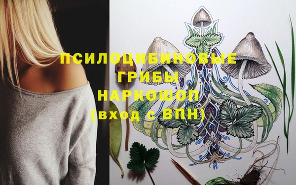 трава Алзамай