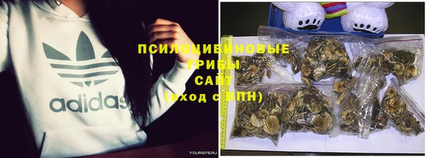 2c-b Нефтегорск