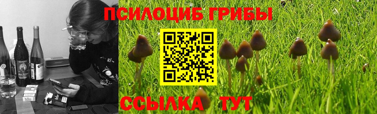 Псилоцибиновые грибы мухоморы  Полысаево  Галлюциногенные грибы Magic Shrooms 