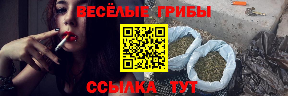 Полысаево  Псилоцибиновые грибы Magic Shrooms  Вход с VPN 